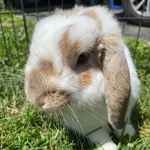 Meet your Posher, Grace kearns